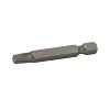 2" x T30 Standard Torx  Industrial Screwdriver Bit Recyclable 